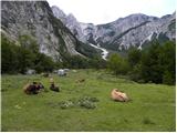 Planina Polog - Tolminski Kuk